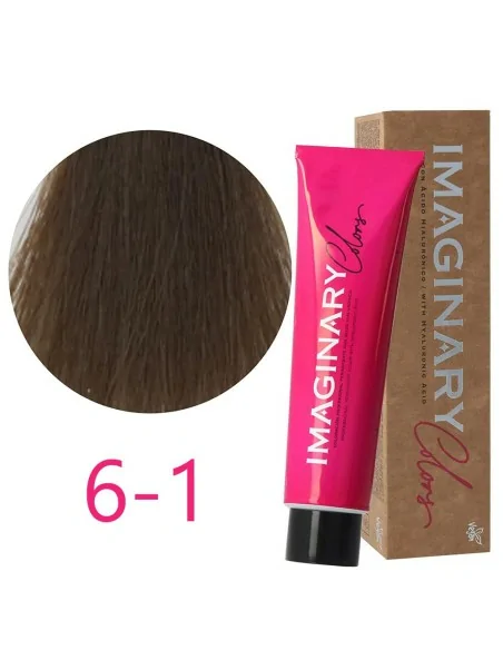 Imaginary Colors - Colorant Permanent Couleur Cendrée 6-1 Blond Foncé 100 ml