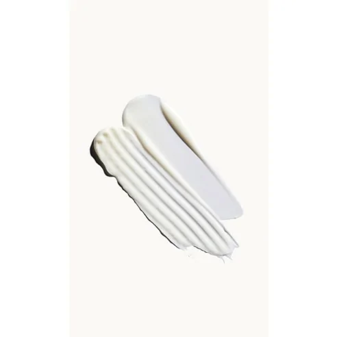 Aveda - Champú Nutriplenish Light