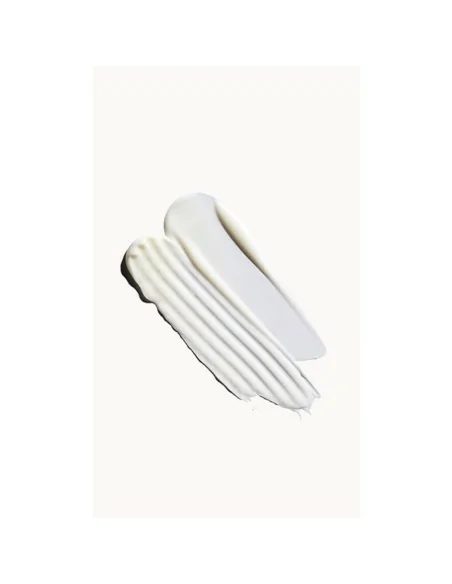 Aveda - Champú Nutriplenish Light