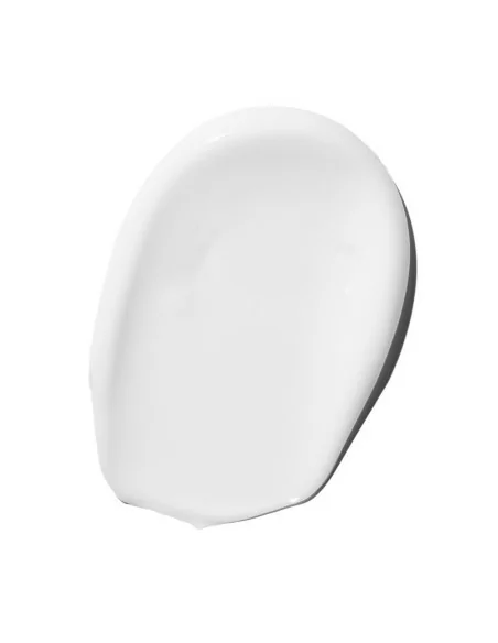 Schwarzkopf - Champú Reparador BC Bonacure Clean Repair Rescue 250 ml | Coserty.com