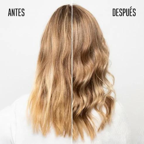 Schwarzkopf - Pack BC Bonacure Volume Boost Champú + Acondicionador + Espuma | Cosert