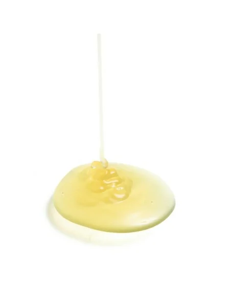 Davines - Champú Anticaspa NaturalTech Rebalancing 250 ml