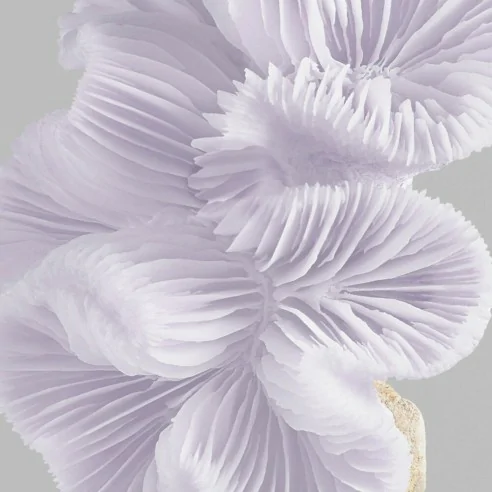 Wella - Color Fresh Pearl Blonde Mask 150 ml | Coserty.com