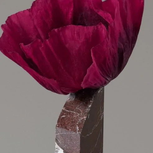 Wella - Mascarilla de Color - Color Fresh Chocolate 150 ml | Coserty.com