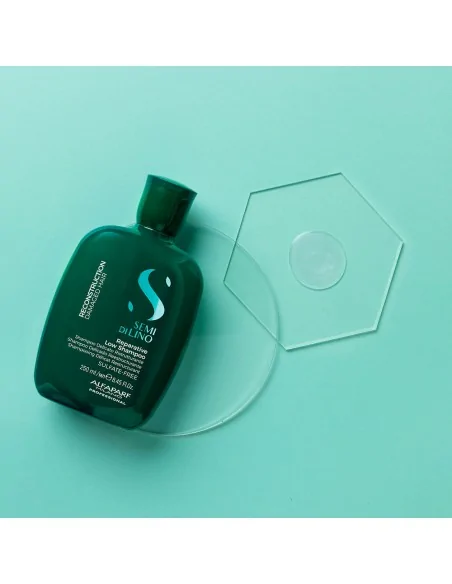 Alfaparf - Semi di Lino Reconstruction Reparative Low Shampoo 250 ml | Coserty.com