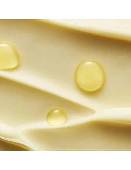 Schwarzkopf - Igora Zero AMM 6-88 Loiro Escuro Vermelho Intenso 60 ml