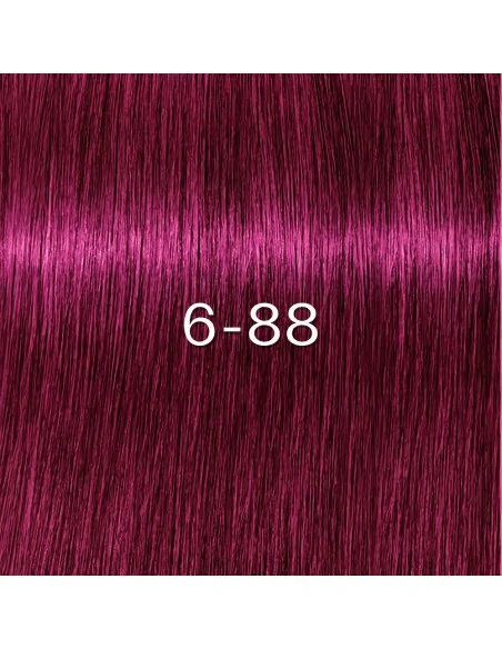 Schwarzkopf - Tinte sin Amoniaco Igora Zero AMM 6-88 Rubio Oscuro Rojo Intenso 60 ml