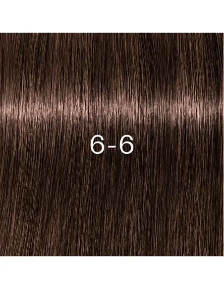 Schwarzkopf - Tinte sin Amoniaco Igora Zero AMM 6-6 Rubio Oscuro Chocolate 60 ml