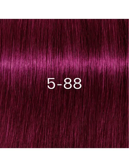 Schwarzkopf - Igora Zero AMM 5-88 Light Brown Red Extra 60 ml