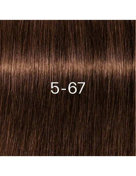 Schwarzkopf - Igora Zero AMM 5-67 Light Brown Chocolate Copper 60 ml