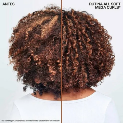Redken - Champú Hidratante para Rizos y Ondas All Soft Mega Curls 300 ml