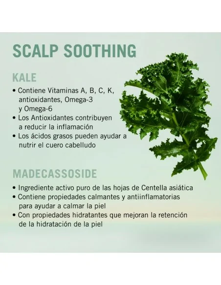 Schwarzkopf - Champú Calmante BC Bonacure Soothing Clean Performance 1000 ml