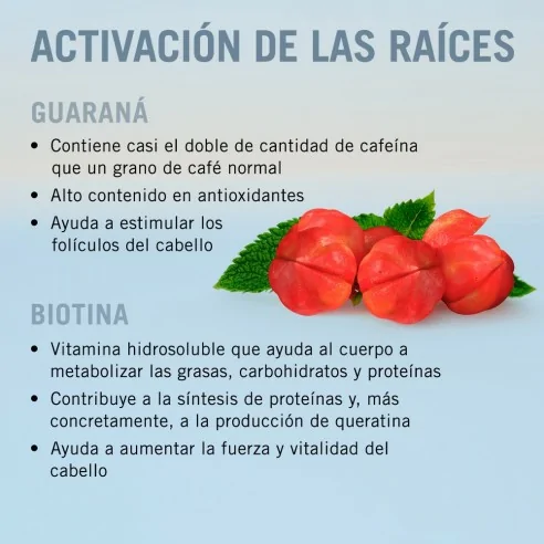 Schwarzkopf - Sérum Activador de Raíces BC Bonacure Root Activating Serum Clean Performance 8 x 7 ml