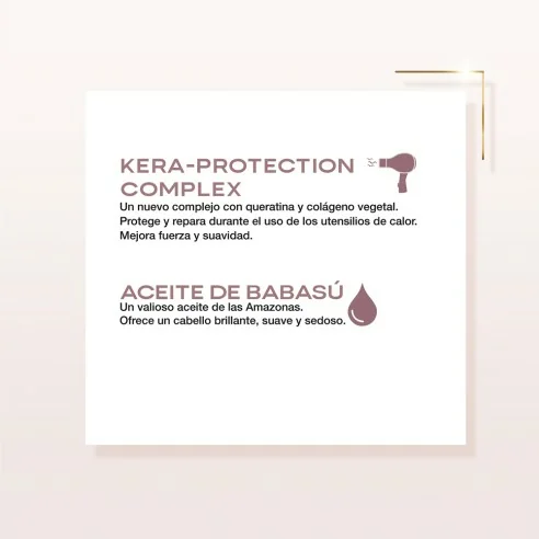 Alfaparf - Champú de Mantenimiento Keratin Therapy Lisse Design 250 ml