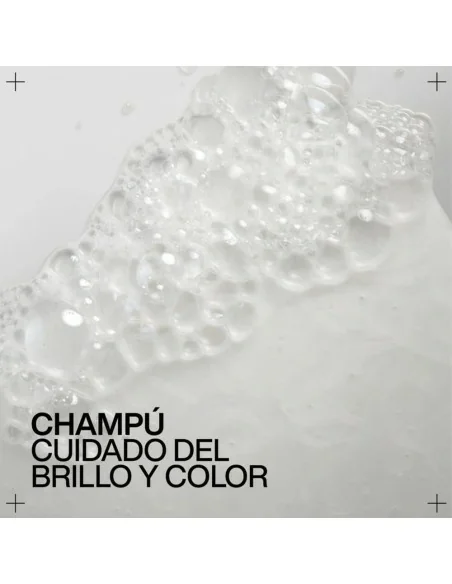 Redken - Champú de Color y Brillo Acidic Color Gloss 500 ml