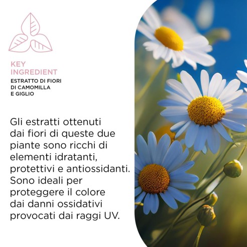 Kemon - Hair Care Color Cold Shampoo Biondi Freddi 250 ml