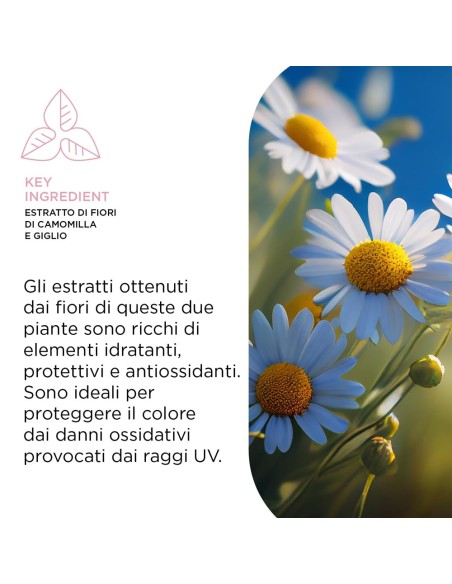 Kemon - Hair Care Color Shampoo Illuminante 250 ml