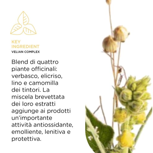 Kemon - Sapone Delicato per Bambini Cura dei Capelli Shampoo Bambini Capelli & Corpo 250 ml