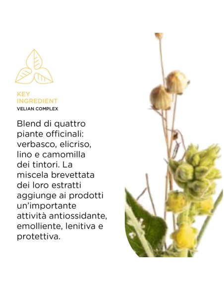 Kemon - Sapone Delicato per Bambini Cura dei Capelli Shampoo Bambini Capelli & Corpo 250 ml